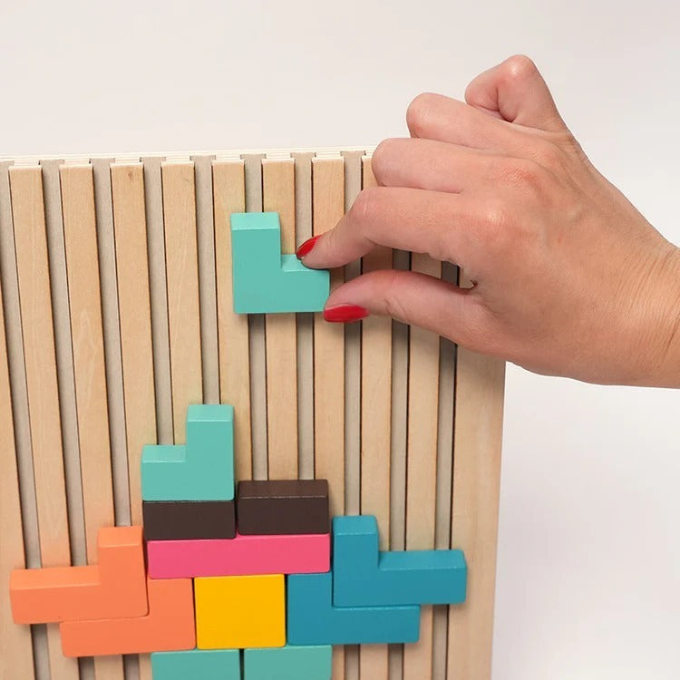 Montessori breinblokken Montessori & Speelgoed