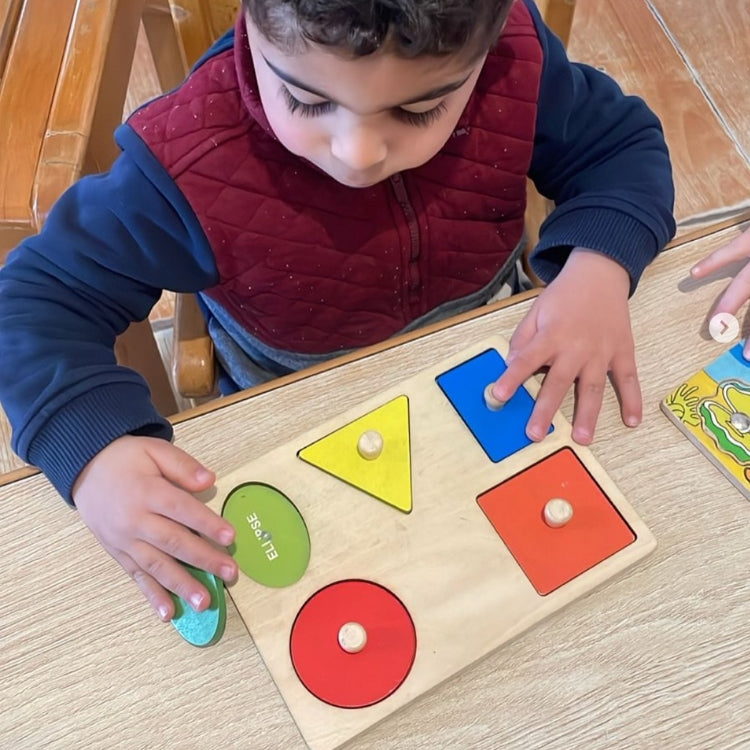 Montessori geometrische vormen- en kleurenpuzzel Montessori & Speelgoed