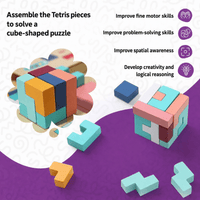 Montessori houten tetris Montessori & Speelgoed