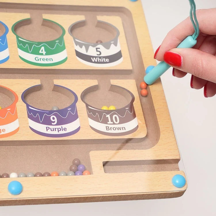Montessori magnetische kleursorteerpuzzel Montessori & Speelgoed