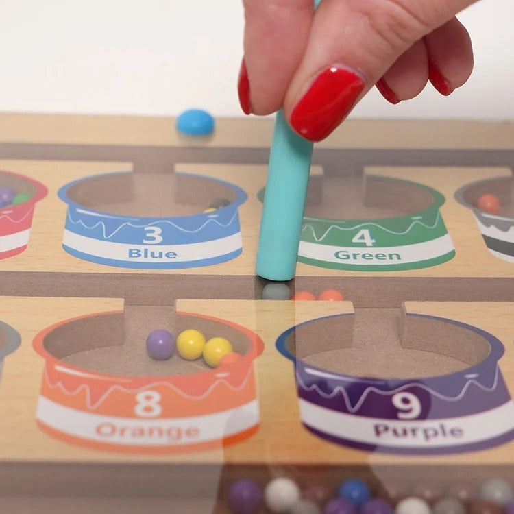 Montessori magnetische kleursorteerpuzzel Montessori & Speelgoed