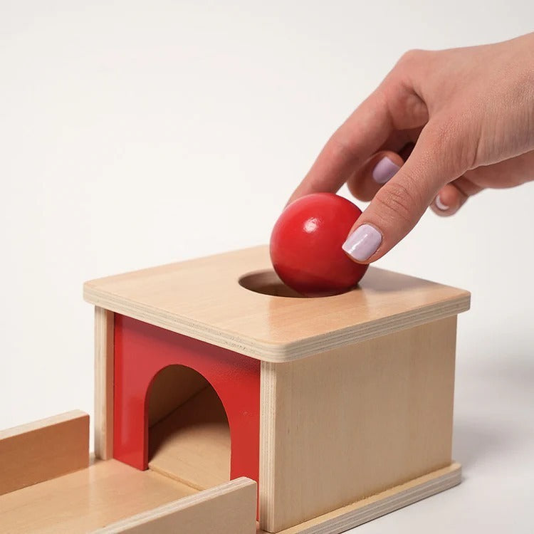 Montessori object-permanentiedoos Montessori & Speelgoed