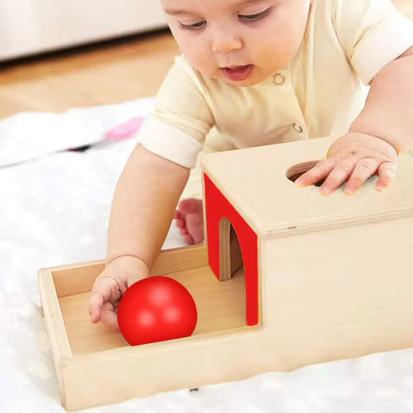 Montessori object-permanentiedoos Montessori & Speelgoed