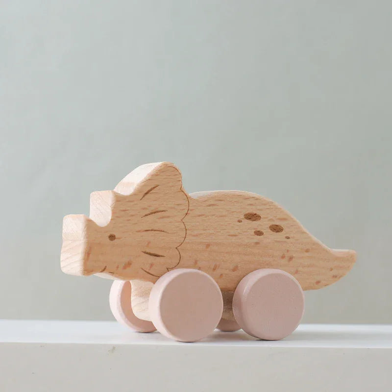 Montessori speelgoed op wielen Montessori & Speelgoed