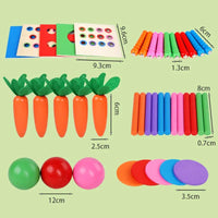 Montessori vormen- en kleurendoos met ballen Montessori & Speelgoed