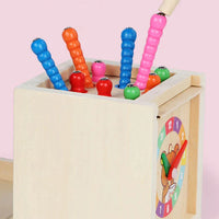 Montessori vormen- en kleurendoos met ballen Montessori & Speelgoed