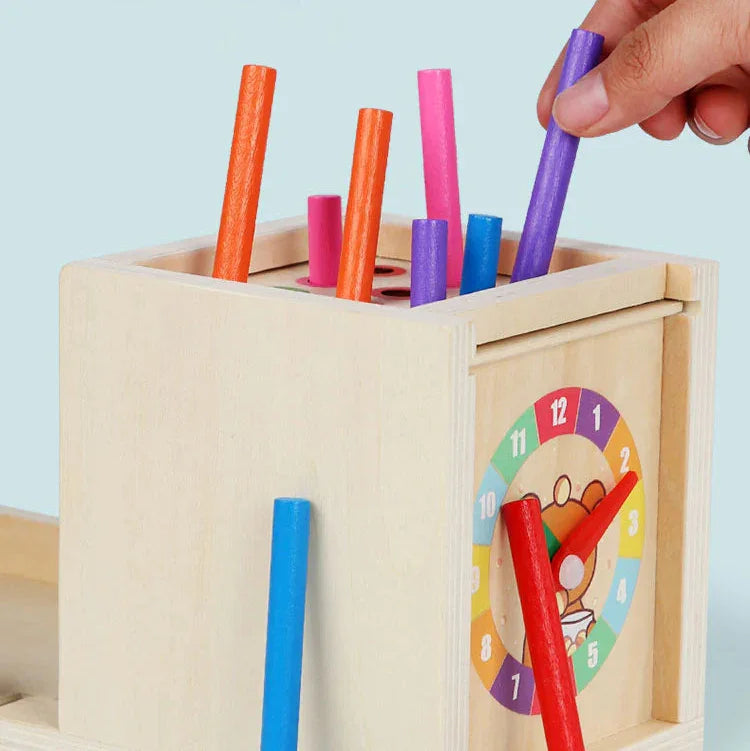 Montessori vormen- en kleurendoos met ballen Montessori & Speelgoed
