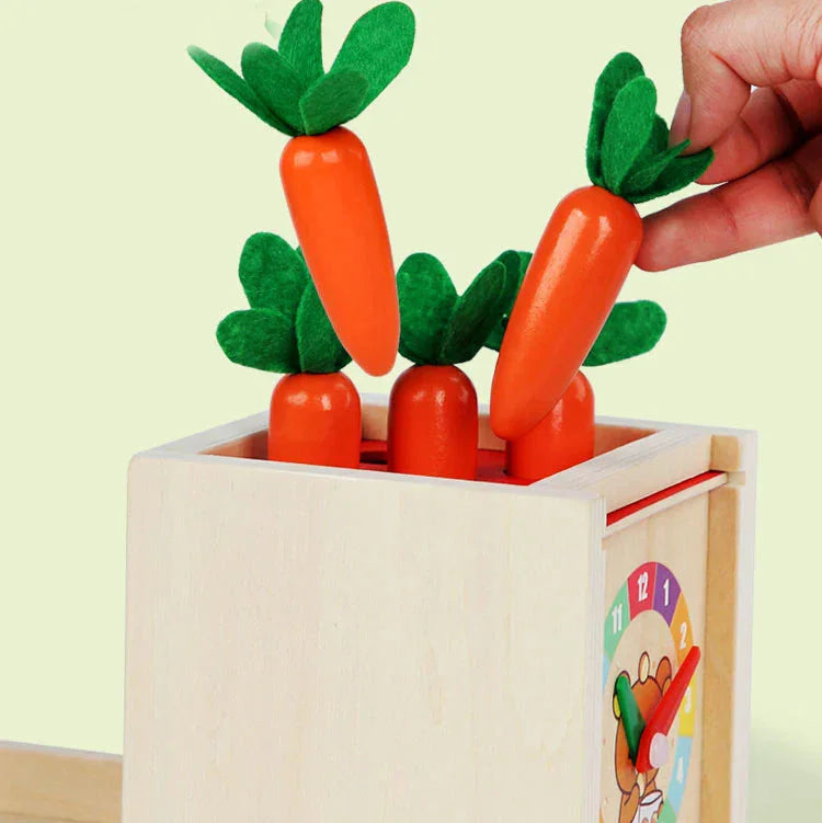 Montessori vormen- en kleurendoos met ballen Montessori & Speelgoed