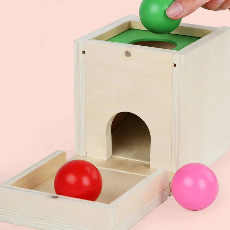 Montessori vormen- en kleurendoos met ballen Montessori & Speelgoed