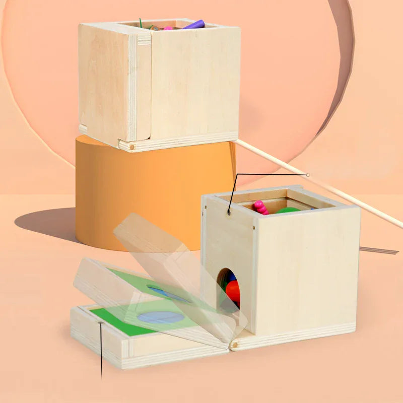 Montessori vormen- en kleurendoos met ballen Montessori & Speelgoed