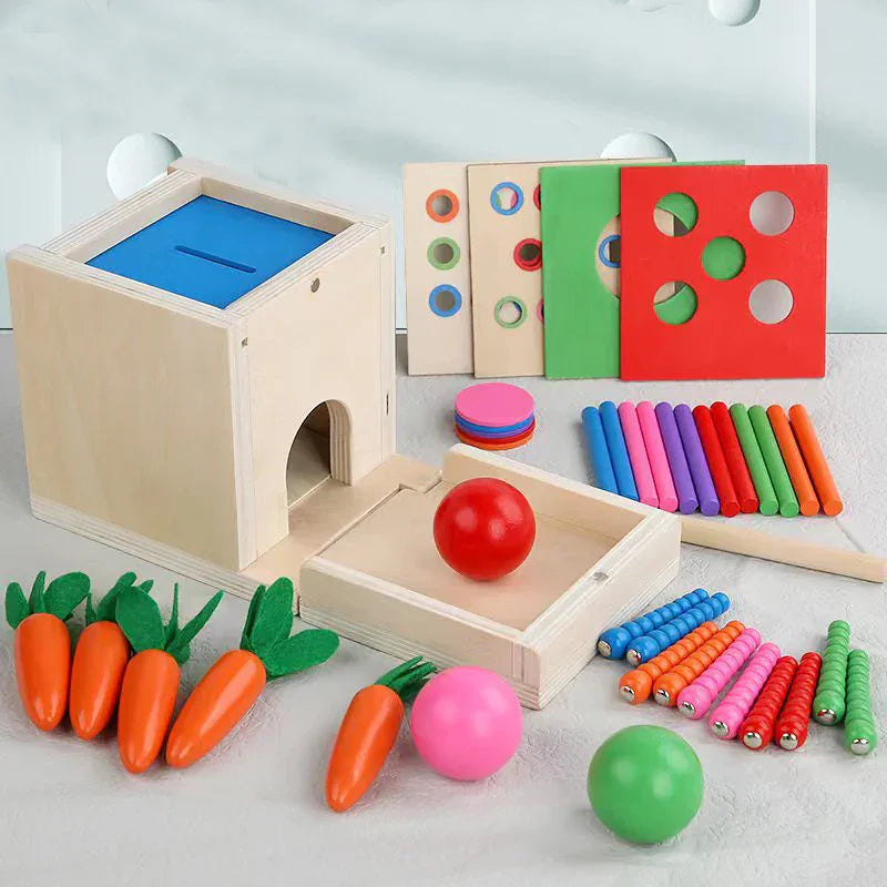 Montessori vormen- en kleurendoos met ballen Montessori & Speelgoed