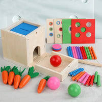 Montessori vormen- en kleurendoos met ballen Montessori & Speelgoed