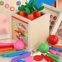 Montessori vormen- en kleurendoos met ballen Montessori & Speelgoed
