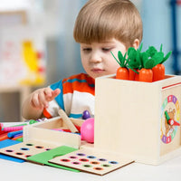 Montessori vormen- en kleurendoos met ballen Montessori & Speelgoed