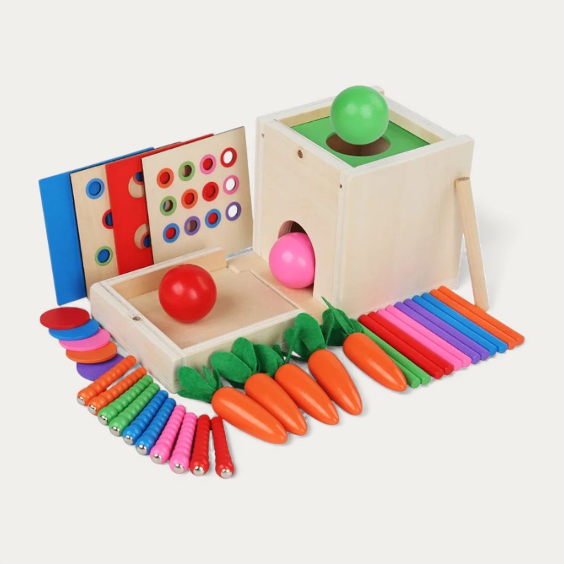 Montessori vormen- en kleurendoos met ballen Montessori & Speelgoed