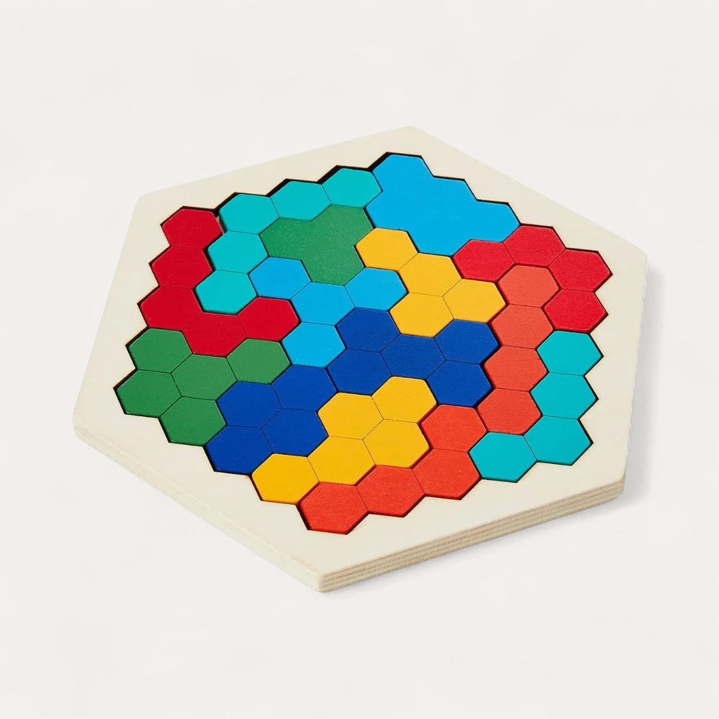 Montessori zeshoekige puzzel Montessori & Speelgoed